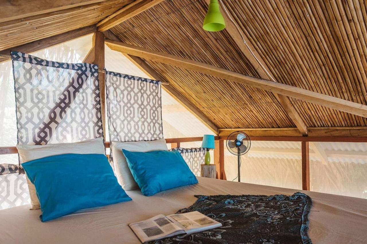 Cocovivo Bocas del Toro