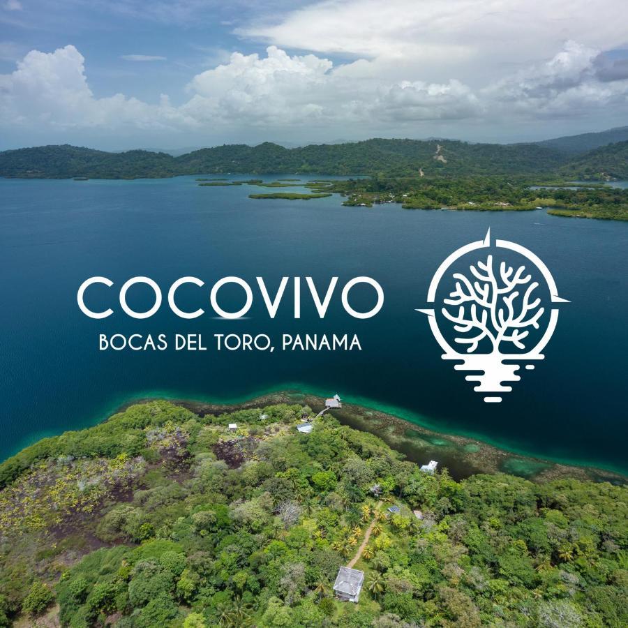 Cocovivo *